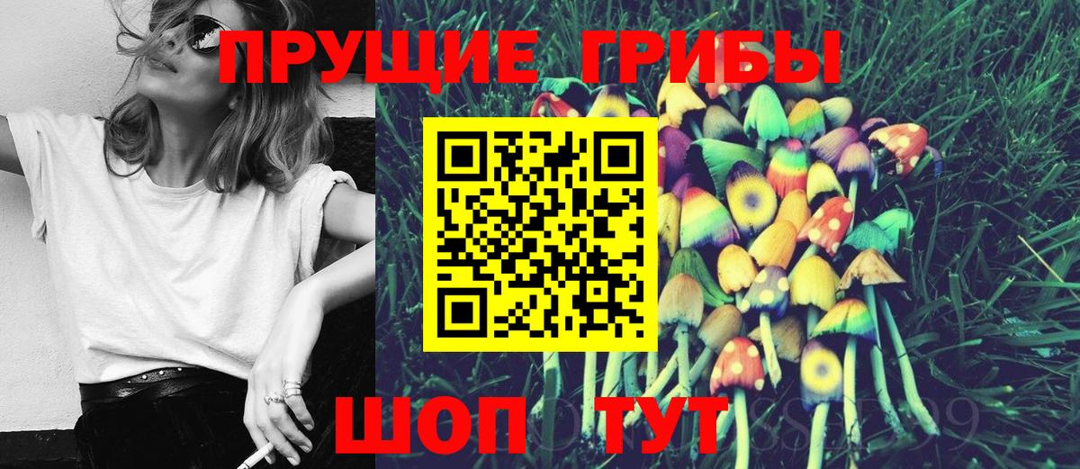 Псилоцибиновые грибы Psilocybine cubensis Ялта